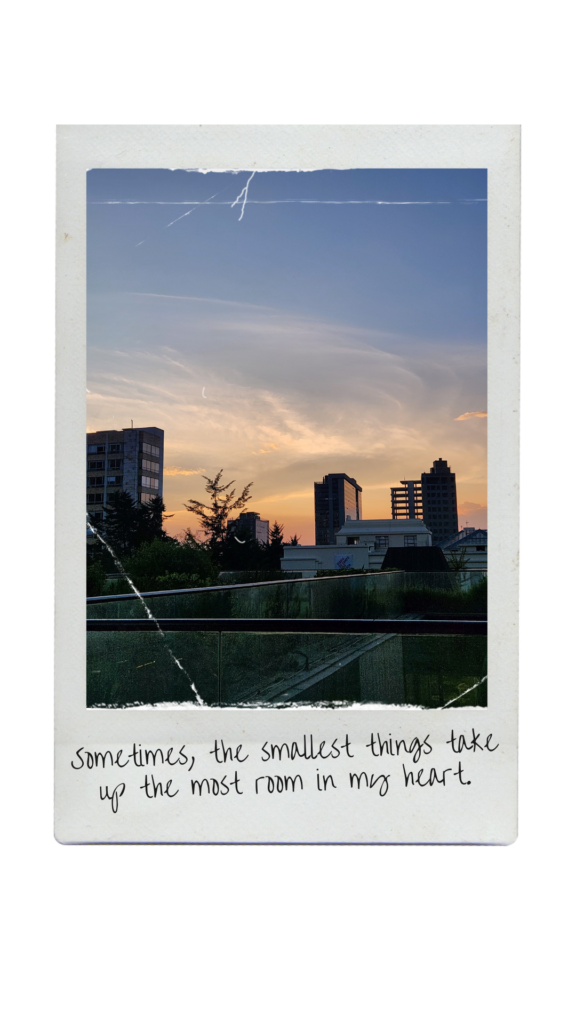 Vintage Effect Polaroid (3)