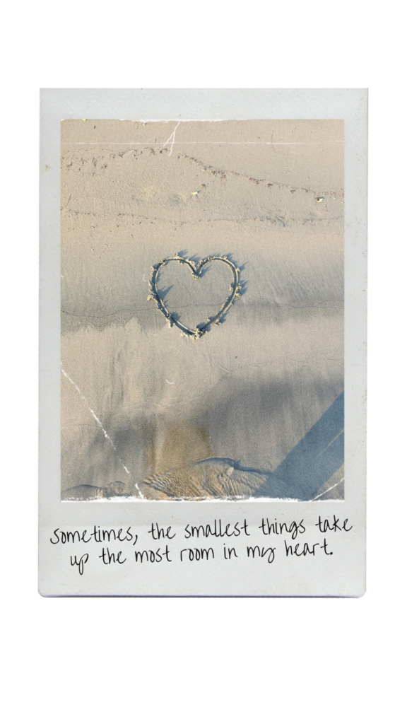 Vintage Effect Polaroid (5)