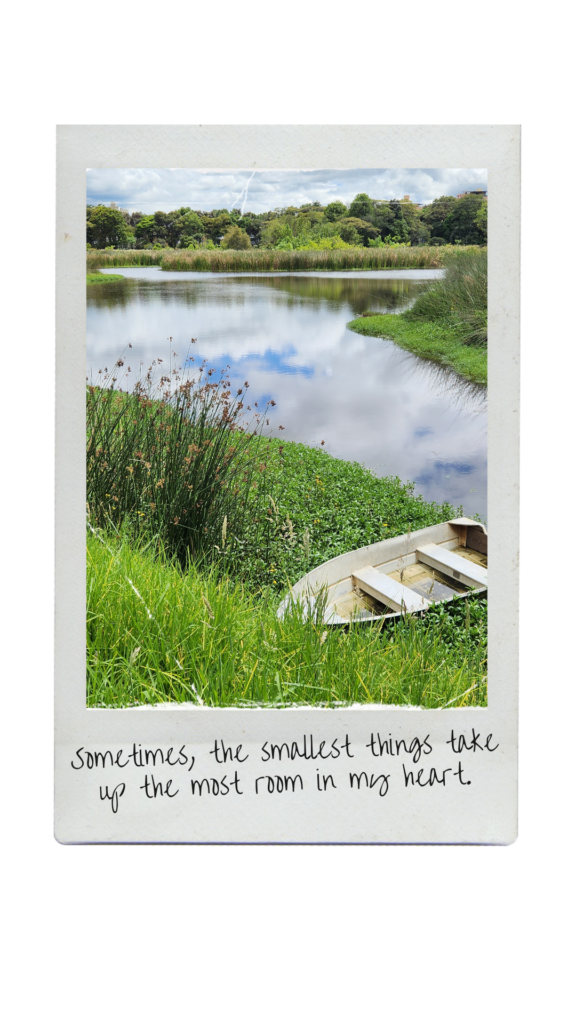 Vintage Effect Polaroid (9)